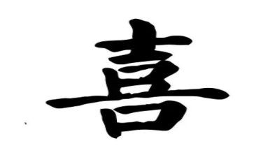 最喜欢的小动物猫300字作文8篇