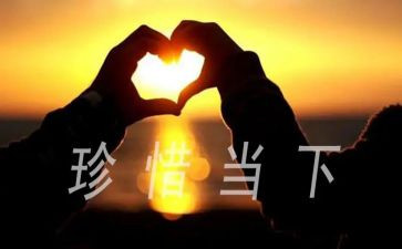 珍惜理想作文8篇