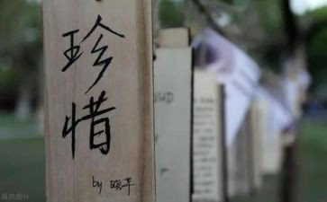 珍惜水的演讲稿5篇