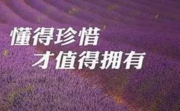 珍惜青春的作文8篇