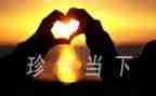 珍惜友情的作文推荐7篇