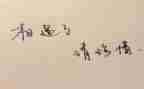 珍惜的作文600字最新5篇