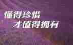 惜为题作文600字推荐8篇