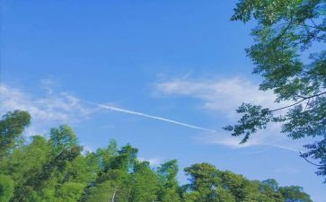 夏令营领导讲话稿7篇