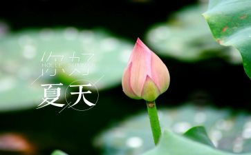 暑假夏令营活动策划最新8篇