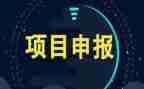 项目上半年工作总结5篇