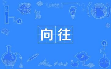 我向往.......作文优质8篇