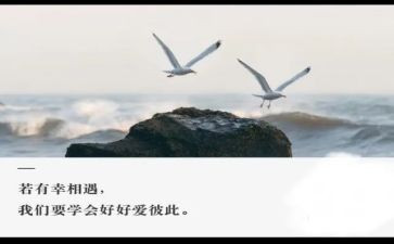 作文相遇600字5篇