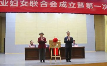 乡镇妇联2024年工作总结8篇