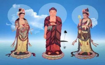 养仙人掌作文7篇