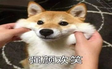 自己的笑作文400字7篇