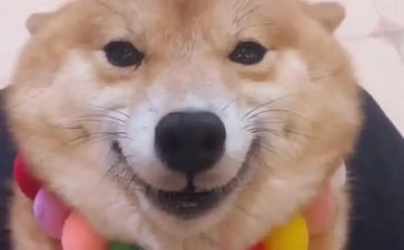 从微笑开始作文7篇