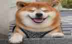 笑的作文不少于400字6篇