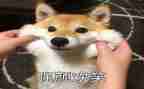关于笑演讲稿参考7篇