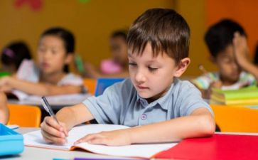 幼儿园小班数学5和6教案参考6篇
