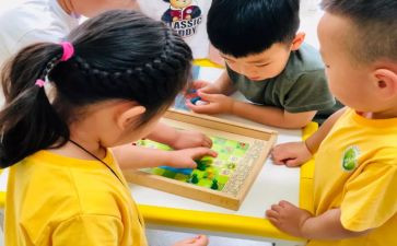 幼儿园小班的工作总结模板7篇