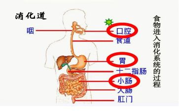 2024年消化科工作计划5篇