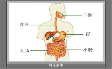 消化内科心得体会7篇