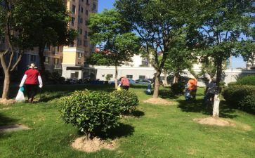 小区物业工作总结模板6篇