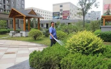 小区物业工作总结精选6篇