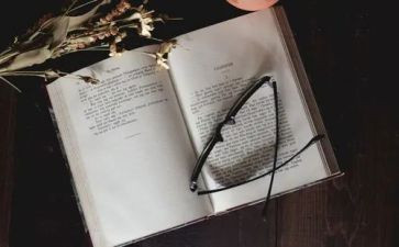 挪威的森林小说读后感8篇