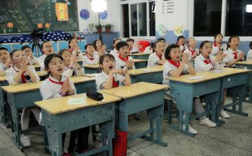 小学副校长个人总结8篇