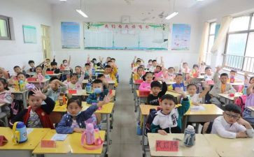 小学校长述职个人述职报告通用7篇