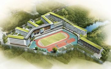 校园安全心得体会600字6篇