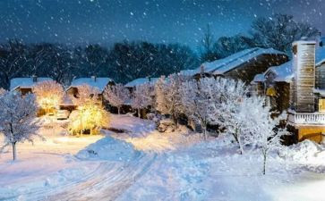 小班语言下雪了教案5篇