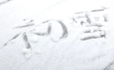 小学下雪的作文最新8篇