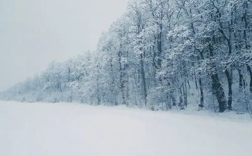 下雪了作文100字7篇