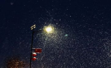 三年级下雪的作文300字7篇