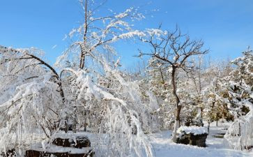 下雪喽作文参考6篇
