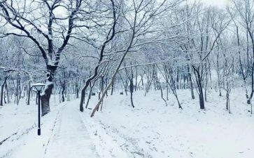下雪做作文8篇
