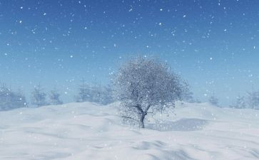 下雪作文500字5篇