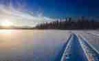 写下雪的作文300字8篇