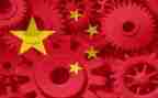形势与政策政策心得体会7篇