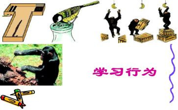 行为规范演讲稿8篇