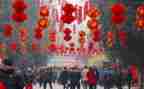 过新年作文500字6篇