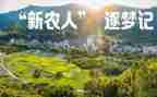 乡镇新农保工作总结7篇