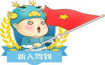 新人进公司总结报告7篇