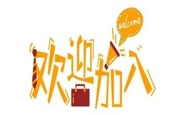 新人进公司年终总结6篇
