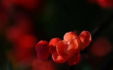 心声教学反思8篇