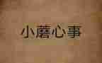 心事的作文800字5篇