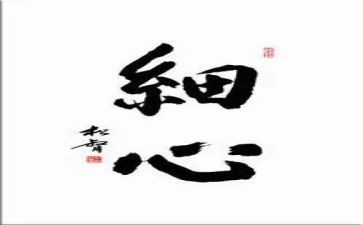 我细心作文5篇