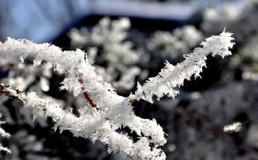 除雪活动总结与反思参考7篇