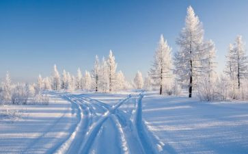 除雪总结报告通用7篇