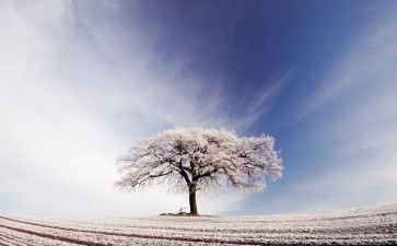我滑雪作文优质6篇