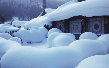 关于校园的雪的作文优秀5篇