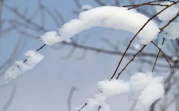 除雪活动总结与反思优质8篇
